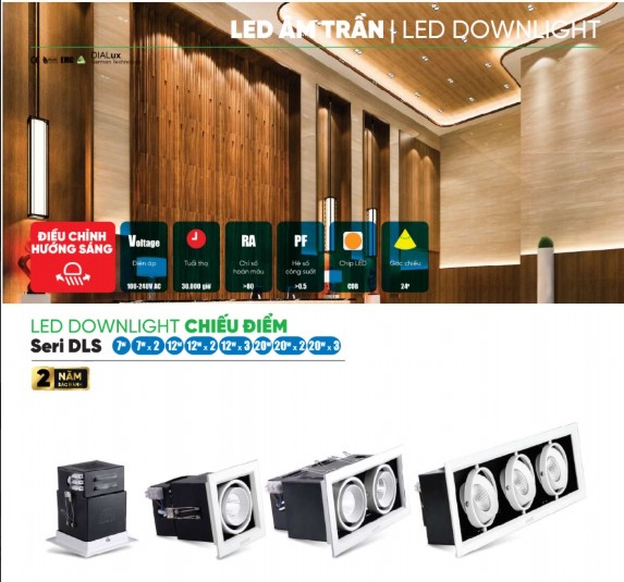 Đèn Spotlight đen viền trắng  DLS MPE